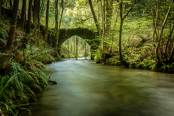 Image showing Old rock bridge over Filveda river