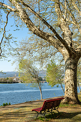 Image showing River side view in Ponte de Lima