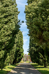 Image showing Arnado Park in Ponte de Lima