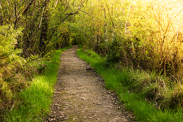 Image showing Dirt road pathway in Lagoas de Bertiandos