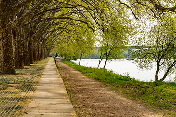 Image showing Trees along the river side in Ponte de Lima