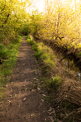 Image showing Dirt road pathway in Lagoas de Bertiandos