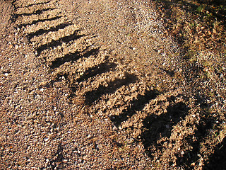 Image showing tractor-track