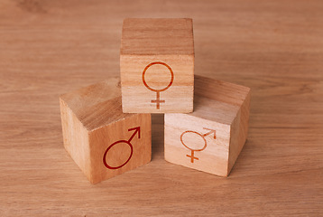 Image showing Wood block, transgender and sex equality backgrounds of male, female and lgbtq identity sign, choice and symbols. Closeup design of gender icons cube, social binary transformation and sexuality label