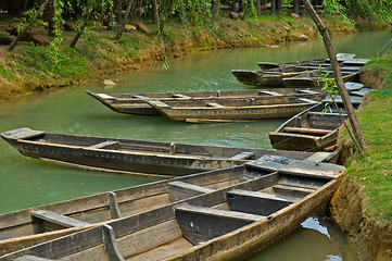 Image showing Rowboats