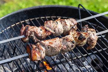 Image showing grilled pork skewers