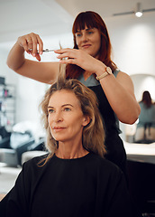 Image showing Woman, hair and salon for haircut with hairdresser for beauty, style or makeover. Customer, beautician and cosmetics for professional hair care, service or fashion in studio, spa or shop in Toronto
