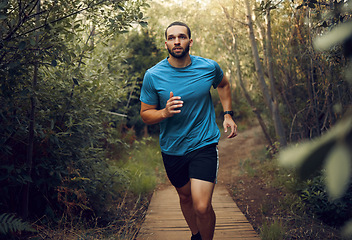 Image showing Forest, fitness and runner man training for marathon on trail path in Mexico with concentration. Cardio, workout and goals of guy practicing running speed for athlete competition with focus.