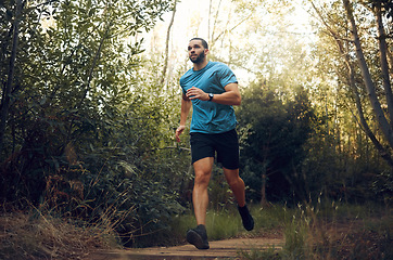 Image showing Fit man, nature run in forest and running for cardiovascular health or body wellness past green trees. Sports runner, cardio fitness training and working out doing offroad marathon workout exercise