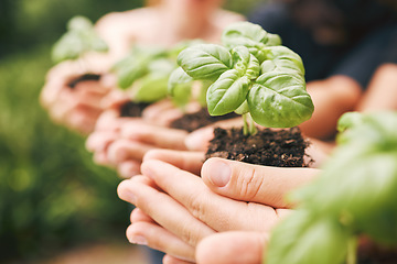 Image showing Environment, sustainability and people plant hands, earth day and nature for future world, community growth and hope. Closeup support of leaf in soil, green energy park and eco friendly global planet