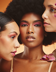 Image showing Beauty, flower and group of women with makeup in studio, model for fashion, cosmetics and skincare. Diversity, beauty products and portrait of African girls face for spa, skincare and skin wellness