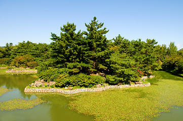 Image showing Gardening