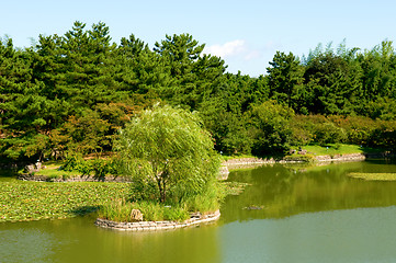 Image showing Gardening