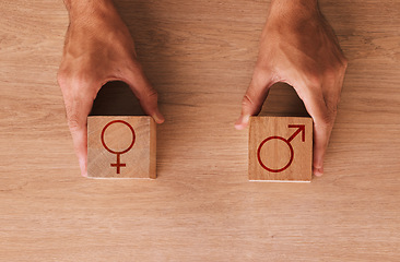 Image showing Wood block, gender and sex equality backgrounds of male, female and identity sign, choice and symbols. Closeup sexuality icons cube for fair opportunity, human rights bias and social transformation