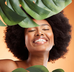 Image showing Aloe vera plant, skincare and black woman for beauty glow, face health and wellness in studio mock up marketing or advertising. Model smile with natural hair growth or dermatology product promotion
