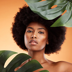 Image showing Beauty, skincare and palm leaf with a model black woman in studio on an orange background for health or wellness. Cosmetics, face and portrait with an attractive young female posing for natural care