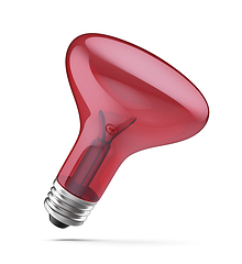 Image showing Infrared light bulb