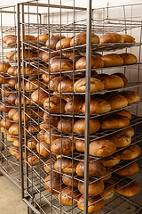 Image showing Lot of ready made fresh bread