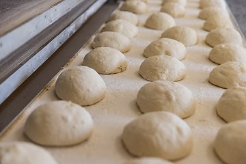 Image showing Ball dough on the production line