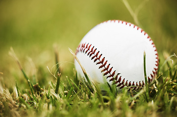 Image showing Baseball, sports and outdoor ball in nature on grass for a sport, exercise and fitness training. Pre game, workout match and active athlete equipment for a fun exercising activity on green plants