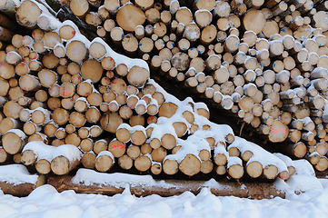 Image showing A Pile of Cut Logs Covered in Snow
