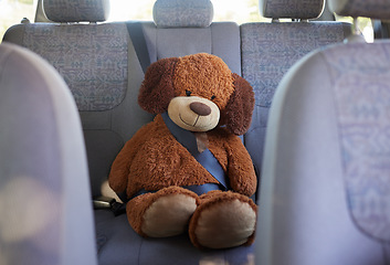 Image showing Teddy bear, seatbelt and safety on the back seat of a car while on a road trip, journey and travel with transport, insurance and vehicle. Passenger, protect and safe driving with a stuffed animal toy