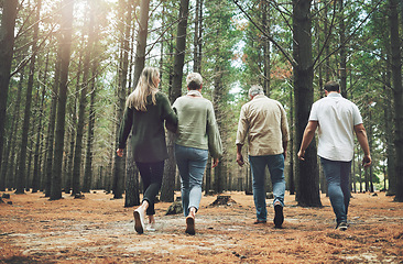 Image showing Family, friends and forest adventure with parents and adult children walking in nature for outdoor hiking, fun and trees on wellness vacation. Running, couple and travel men and women in woods