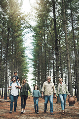 Image showing Forest, holding hands and big family walking in nature for outdoor hiking, adventure and wellness holiday with trees. Diversity, adoption and happy community in woods for earth day love celebration