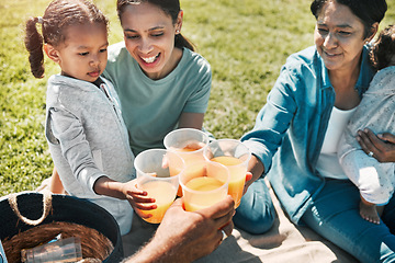Image showing Picnic, park and happy family cheers with juice, bonding and enjoy fun quality time together. Mama love, happiness and freedom for relax grandma, mother and children drinking on nature grass field