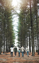 Image showing Nature walk, family and park, outdoor and together bonding with trees and spending quality time on picnic. Grandparents, parents and children, walking in forest and big family love and holding hands.