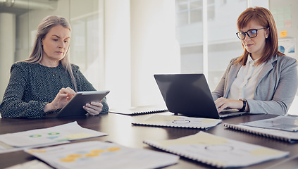 Image showing Corporate women, laptop and finance planning documents or market strategy development in office. Businesswomen, research and tech development team of design expert, analyse reports and data analytics