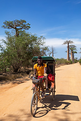 Image showing rickshaw travels along the picturesque baobab alley, a popular tourist attraction in Morondava.