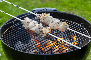 Image showing grilling pork skewers