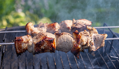 Image showing grilled pork skewers