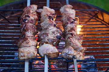 Image showing grilled marinated pork meat skewers