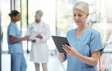Image showing Nurse, tablet and hospital, health and woman check patient information, technology with digital medical data. Clinic, nursing and online medicine report, mature person and healthcare professional.