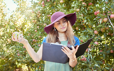 Image showing Research, farm and farmer reading about apple farming at an orchard for sustainability, agriculture and growth. Woman with fruit in the countryside for inspection, analysis and knowledge in nature