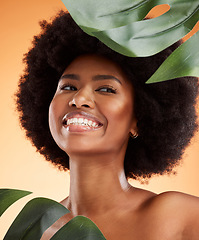 Image showing Beauty, skincare and black woman model with plants, skin health and natural hair glow smile. Happy, wellness and cosmetic happiness of a person from Jamaica feeling healthy smiling with a plant
