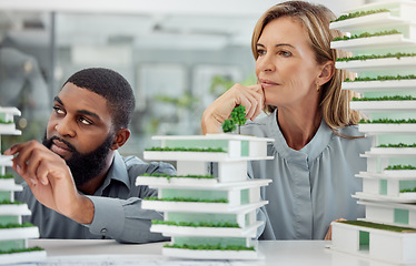 Image showing Model, architecture and engineering people building a 3d office prototype in a meeting with teamwork. Creative, designer and engineers working in collaboration on a development project construction