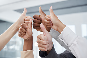 Image showing Thumbs up, team and success hand sign to show work community, solidarity and thank you. Office business collaboration, teamwork and yes hands gesture of people with diversity together in agreement
