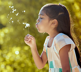 Image showing Girl, child and nature dandelion flower blowing for wish, dream and magic in garden on vacation in spring. Kid, park and motivation for hope, love and earth seed outdoor to relax for happy youth