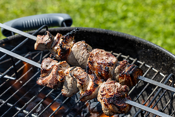 Image showing grilled pork skewers