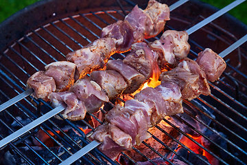 Image showing grilled marinated pork meat skewers