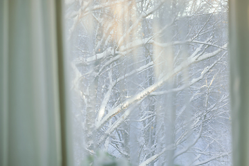 Image showing curtains hang in front of window