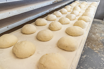 Image showing Ball dough on the production line