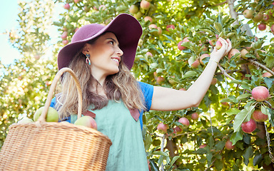Image showing Apple harvest, fruit farm and happy woman with agriculture food, produce and healthy farming. Sustainability, nutrition and green lifestyle of a person on a summer day enjoying organic fruits outdoor