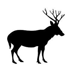 Image showing Deer Silhouette