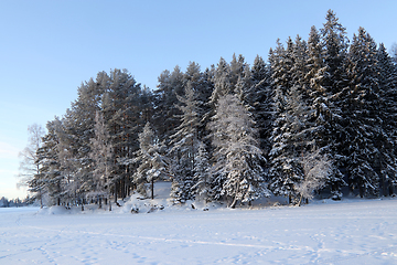 Image showing Vinter