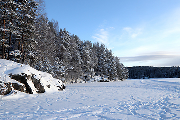 Image showing Vinter