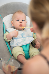 Image showing Mother spoon feeding her baby boy infant child in baby chair with fruit puree. Baby solid food introduction concept.